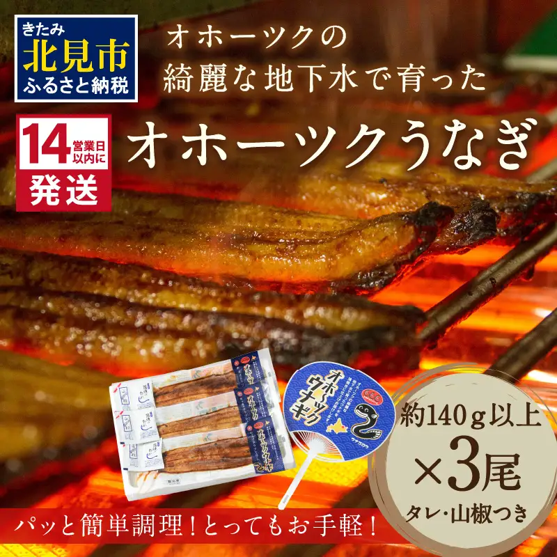 《14営業日以内に発送》オホーツクの綺麗な地下水で育った オホーツク うなぎ 3尾 ( 蒲焼 蒲焼き 丑の日 土用丑の日 )【160-0007】