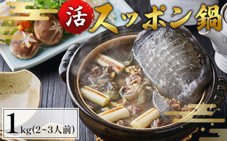 【11月お届け】綾部で育てた！！スッポン鍋 1kg（2?3人前） / 鍋 健康 コラーゲン 綾部市 / 丹の里水産［BSDM035］
