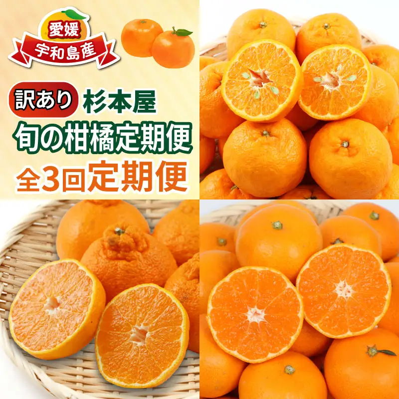 訳あり 柑橘定期便 全3回 杉本屋  不知火 デコポン ( デコポン と同品種) 完熟みかん ポンカン B030-143013