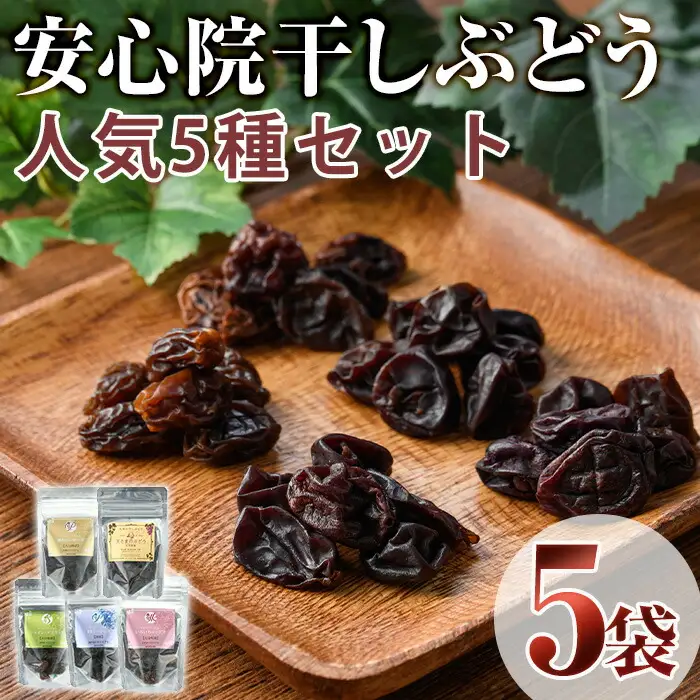 安心院干しぶどう人気セット(合計175g・5種)ドライフルーツ 葡萄 ぶどう 果物 くだもの フルーツ 乾燥 小分け セット 大分県産【100701300】【宮田ファミリーぶどう園】