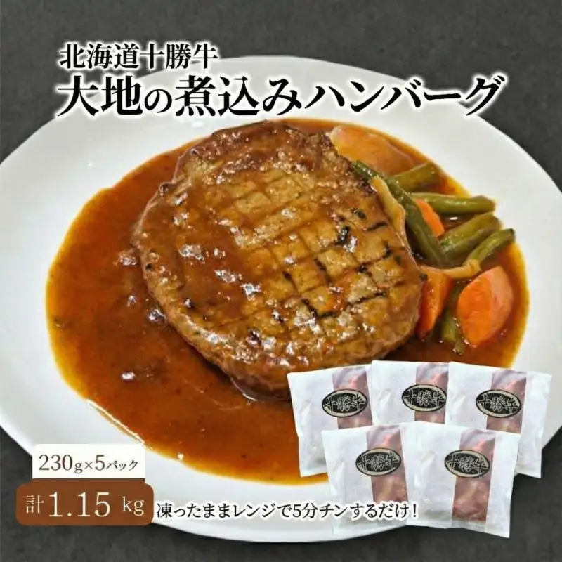 煮込みハンバーグ 230g×5パック 十勝牛 ハンバーグ