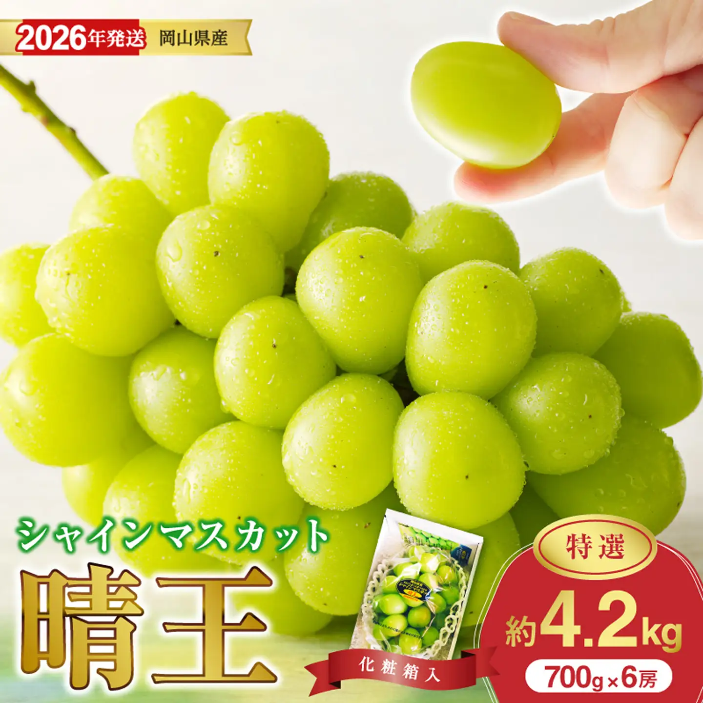 岡山県産 シャインマスカット 晴王 特選 大房 化粧箱入 約700g×6房 【シャインマスカット】hz-s