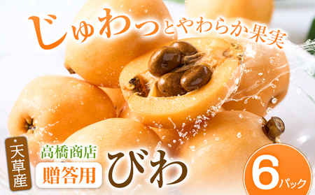天草産 びわ 6パック 贈答用 |高橋商店【配送不可地域あり】(北海道 沖縄 離島)
