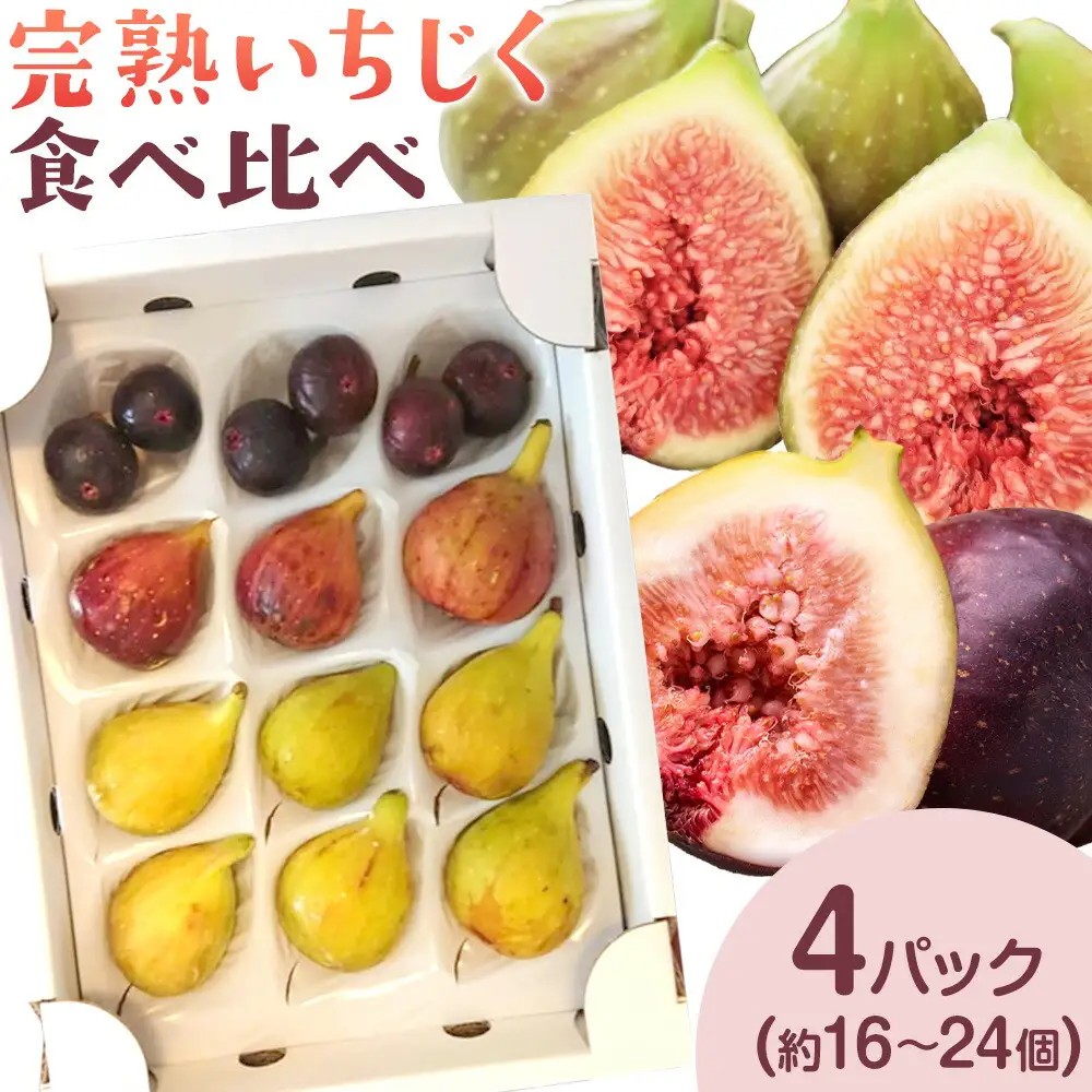 完熟いちじく ミナクルファーム 食べ比べ　フルーツ 果物 くだもの いちじく イチジク 無花果 完熟 《2026年8月中旬-9月末頃出荷》熊本県 苓北町