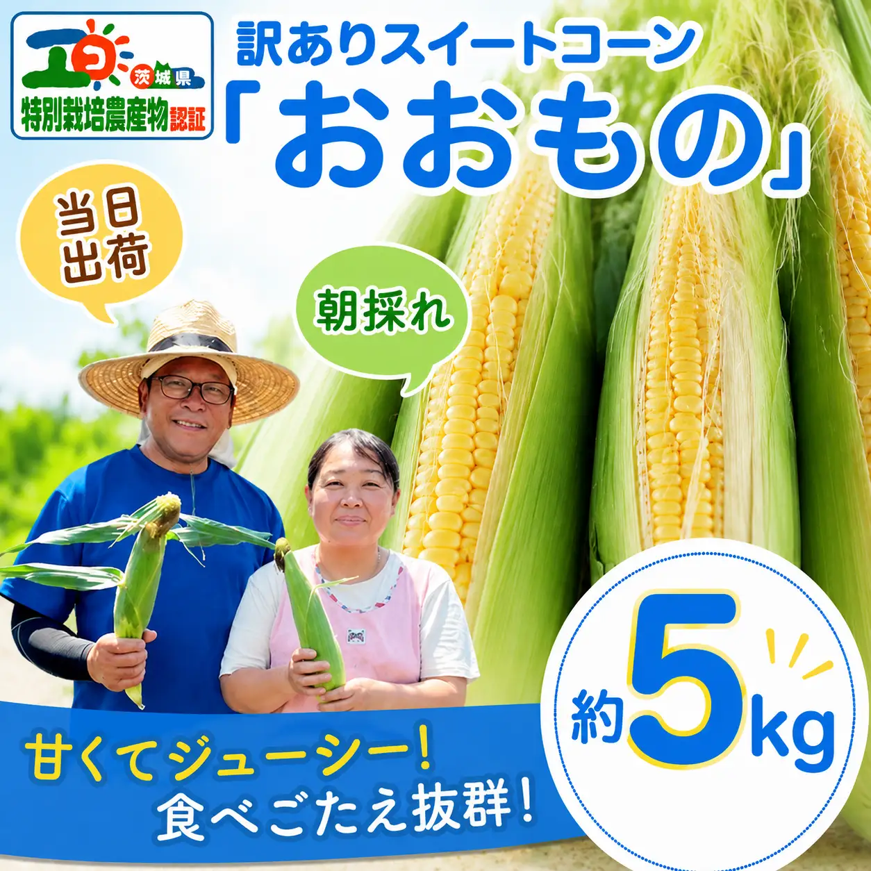 【 朝採れ 当日出荷 】 訳あり スイートコーン 「 おおもの 」 約5kg 甘い 新鮮 皮付き トウモロコシ とうもろこし 特別栽培