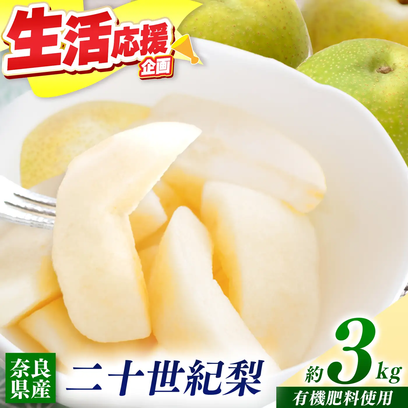 【 先行予約 】 梨子本農園 の 梨 （ 二十世紀 ）約 3kg | 