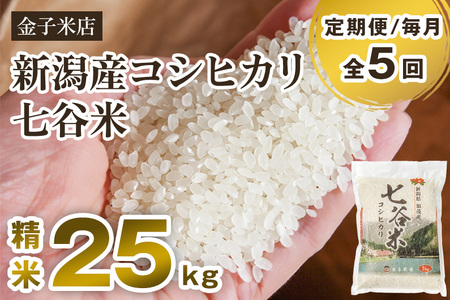 【令和7年産】【定期便5ヶ月毎月お届け】老舗米穀店が厳選 新潟県加茂市産コシヒカリ「七谷米」精米25kg（5kg×5）〈順次出荷〉 従来品種 金子米店
