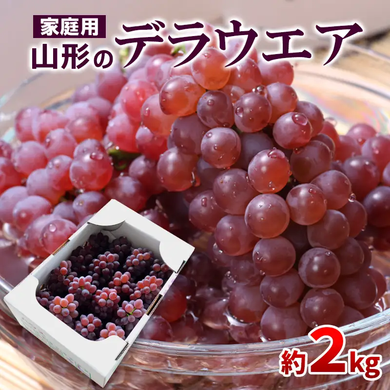 【ご家庭用】山形のデラウエア M～3L 約2kg(9～22房) [粒サイズおまかせ]【令和8年産先行予約】 FS24-137 くだもの 果物 フルーツ 山形 山形県 山形市 2026年産