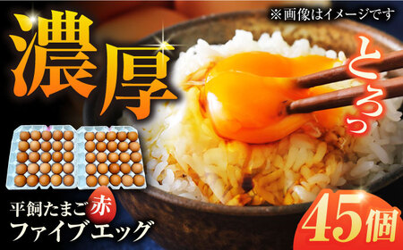 【箱入り】平飼たまご ファイブエッグ M-Lサイズ 45個 / 5EGG 卵 赤玉子 五島市 / 五島列島大石養鶏場 [PFQ036]  玉子 タマゴ 鶏卵 希少 五島列島