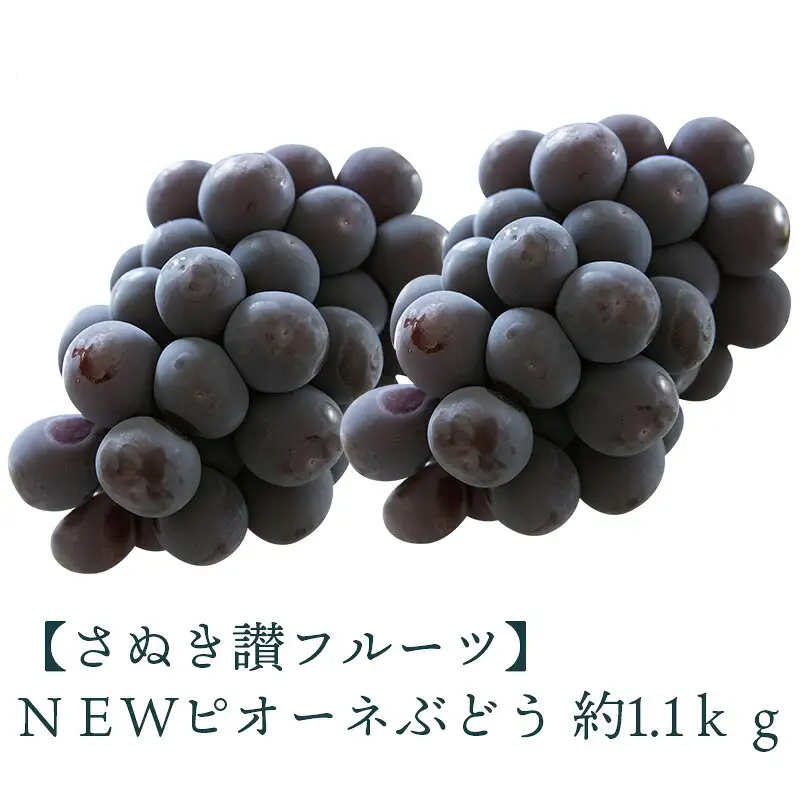 NEWピオーネぶどう 約1.1kg
