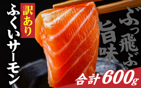 【訳あり】国産 ふくいサーモン切落し（小分けパック）約600ｇ[A-065060]
