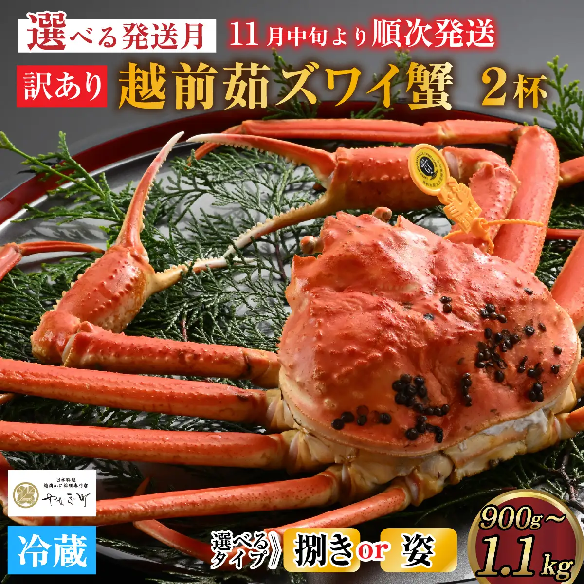 【先行予約】[捌き済選択可][到着日指定可]【訳あり】蟹好きが唸る老舗カニ料理店の越前茹ズワイ蟹 大サイズ(900g～1.1ｋg)2杯【11月中旬より順次発送】 [J-085030] / ｽﾞﾜｲｶﾞﾆ ｽﾞﾜｲｶﾞﾆ ｽﾞﾜｲｶﾞﾆ