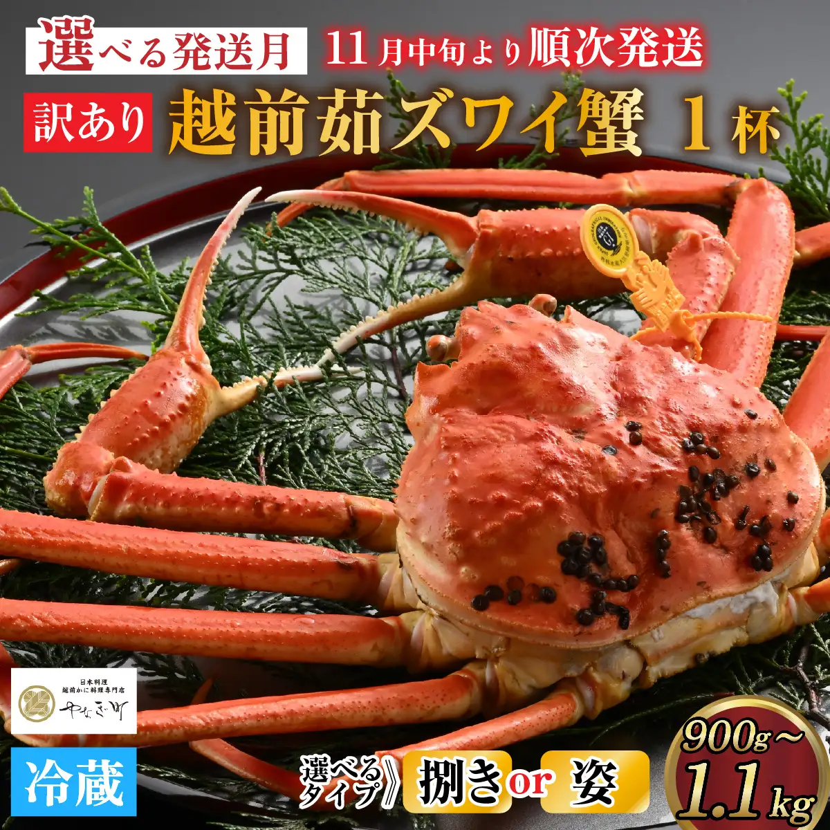 【先行予約】[捌き済選択可][到着日指定可]【訳あり】蟹好きが唸る老舗カニ料理店の越前茹ズワイ蟹 大サイズ(900g～1.1ｋg)1杯【11月中旬より順次発送】 [L-085031] / ｽﾞﾜｲｶﾞﾆ ｽﾞﾜｲｶﾞﾆ ｽﾞﾜｲｶﾞﾆ