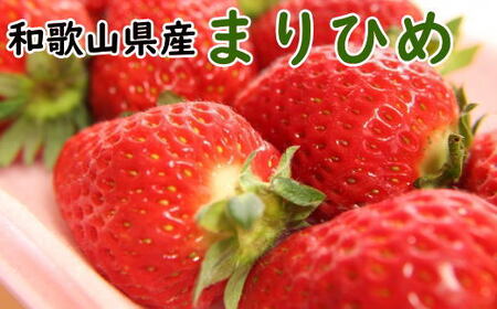 【2027年3月より順次発送】和歌山県産ブランドいちご「まりひめ」約300g×2パック入り ※2027年3月上旬～3月下旬頃発送予定（お届け日指定不可）【tec965A-3】