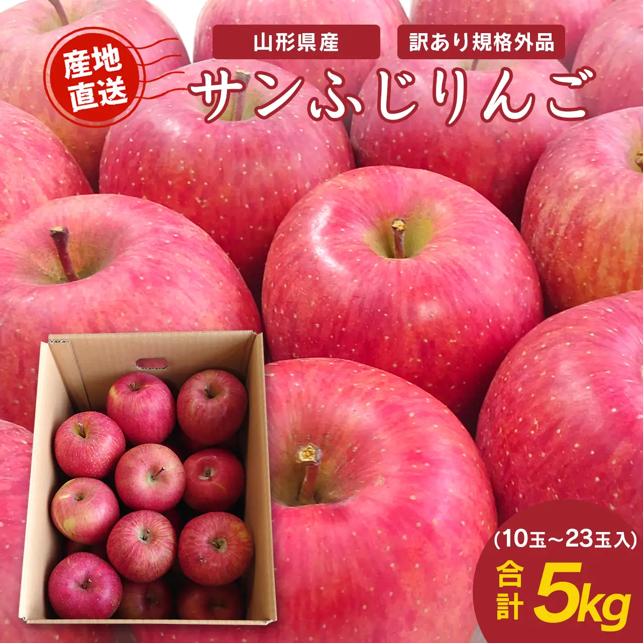 《先行予約》令和8年産 【ご家庭用】りんご サンふじ 5kg （10玉 - 23玉）山形県産 【2026年11月下旬頃から順次発送予定】2026年産 山形産　013-B-JF029
