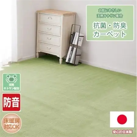 【江戸間4.5畳】お肌にやさしい天然キトサン配合の抗菌・防臭カーペット(BO-50-4.5畳GR)【1493182】 44,200円