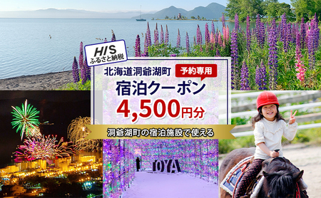 HISふるさと納税宿泊予約専用クーポン（北海道洞爺湖町）【4,500円分】 宿泊 ホテル 観光 ふるさと納税 洞爺湖 温泉 絶景 旅 旅行 トラベル
