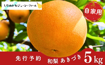 先行予約 和梨 あきづき 自家用 約5kg 新潟県 三条市産 しなのがわジューシーファーム