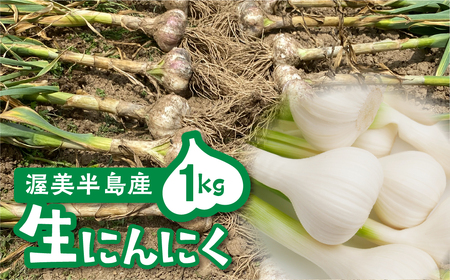 ≪先行予約≫ 訳あり 渥美半島産　ニンニク （生）１ｋｇ 簡易包装 にんにく 国産にんにく 平戸にんにく 愛知県 田原市