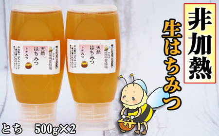 簗場養蜂場 非加熱 生はちみつ とち 500g 2本 【あねっこ】 純粋 蜂蜜 はちみつ ハチミツ ハニー 1kg 1キロ 国産 国内産 日本産 ボトル 長期保存 産地直送 トチ 栃 栃蜜 とち蜜 蜜 みつ ミツ 人気 稀少 希少 お取り寄せ プレゼント 贈り物 仕送り 家庭用 自宅用 常温発送 調味料 隠し味 おすすめ