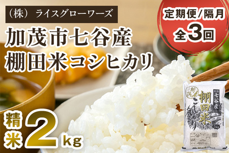 【令和8年産新米先行予約】【定期便3回隔月お届け】七谷産 棚田米コシヒカリ 精米2kg《10月上旬～順次出荷》 白米 （株）ライスグローワーズ