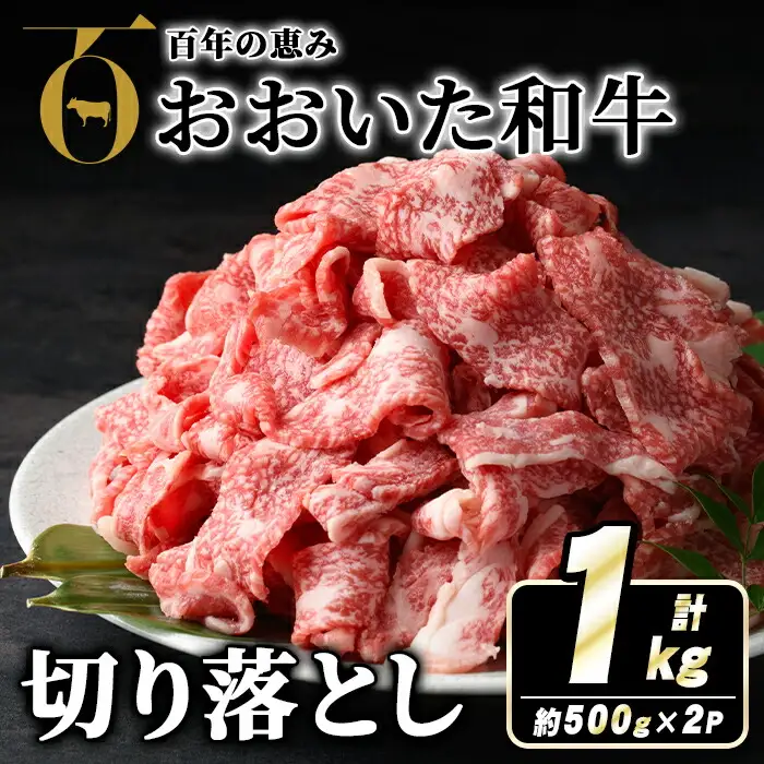 おおいた和牛切り落とし(計1kg・500g×2P) 牛肉 お肉 ウデ モモ バラ 切り落とし 切り落し 切落し こま切れ すき焼き 肉じゃが おおいた和牛 和牛 霜降り【110201002】【吉野】