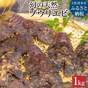 10月中旬以降発送 幻の天然ゾウリエビ 1kg 先行受付10月下旬以降 サイズおまかせ【幻の天然ゾウリエビ】【R00620】 