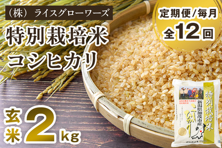 【令和8年産新米先行予約】【定期便12ヶ月毎月お届け】新潟県加茂市産 特別栽培米コシヒカリ 玄米2kg《10月上旬～順次出荷》 従来品種コシヒカリ （株）ライスグローワーズ