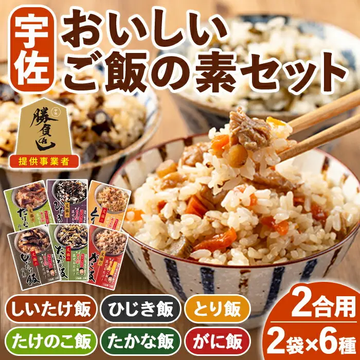 宇佐おいしいご飯の素セット(6種×各2袋)ご飯の素 混ぜご飯 簡単 時短 おにぎり お弁当 郷土料理 食べ比べ セット 勝負めし【102200201】【観光館　文福】