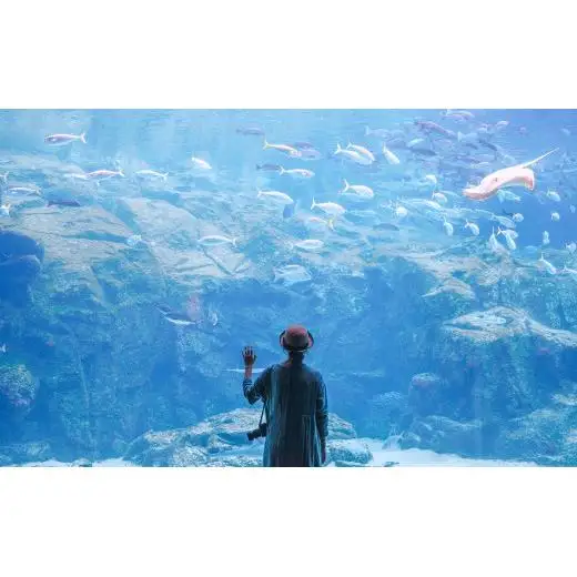 海きらら入場引換券(大人4名)