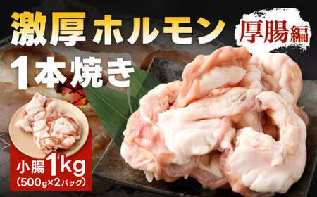 1本焼き 激厚 ホルモン 厚腸版 新鮮 ホルモン 塩ホルモン モツ もつ 牛モツ 牛もつ ぷりぷり 旨味 黒毛和牛 小腸 腸壁 真空パック 国産 九州産 冷凍