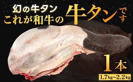 幻の牛タン これが和牛の牛タンです【2027年1月～2月発送】黒毛和牛 和牛 牛タン 肉 お肉 高級 サシ 焼肉 BBQ 希少 新鮮 国産 九州産 冷蔵