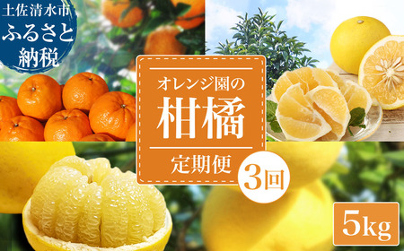 【令和８年発送】 オレンジ園の柑橘3種（ぽんかん・文旦・小夏）各5kg 3回定期便 【J00104】