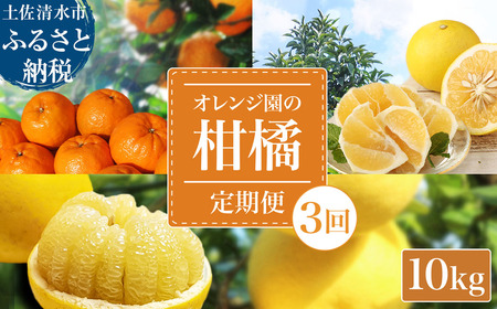 【令和８年発送】 オレンジ園の柑橘3種（ぽんかん・文旦・小夏）各10kg 3回定期便 【J00105】