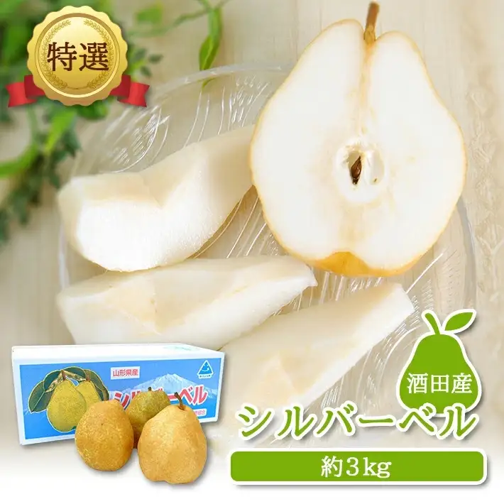 SA3038　 酒田産【特選】 洋梨 シルバーベル　約3kg(玉数おまかせ)