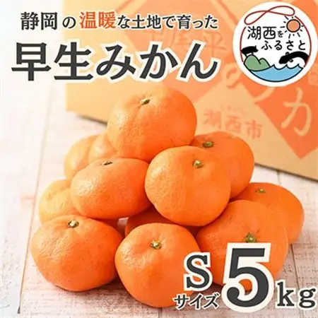 【先行受付】【11月上旬より順次出荷予定】早生みかん約5kg Sサイズ〔鈴木農園〕_果物・フルーツ みかん  ミカン 蜜柑_【1510092】