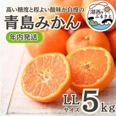 【年内発送】【12月中旬より順次出荷予定】青島みかん約5kg LLサイズ〔鈴木農園〕_果物・フルーツ みかん  ミカン 蜜柑_【1510094】