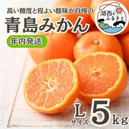 【年内発送】【12月中旬より順次出荷予定】青島みかん約5kg Lサイズ〔鈴木農園〕_果物・フルーツ みかん  ミカン 蜜柑_【1510097】