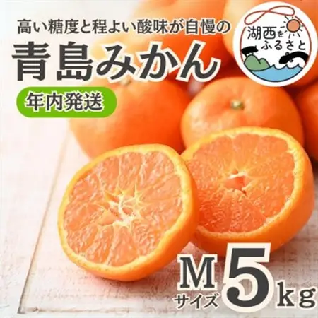 【年内発送】【12月中旬より順次出荷予定】青島みかん約5kg Mサイズ〔鈴木農園〕_果物・フルーツ みかん  ミカン 蜜柑_【1510098】