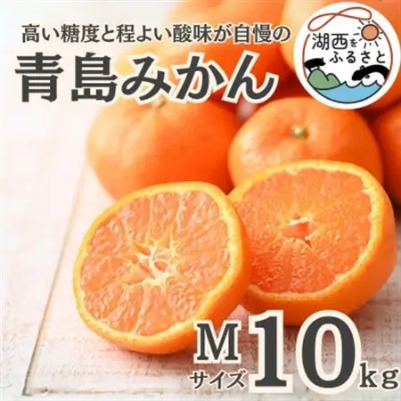 【先行受付】【2027年1月初旬頃より順次出荷予定】青島みかん約10kg Mサイズ〔鈴木農園〕_果物・フルーツ みかん  ミカン 蜜柑_【1510099】