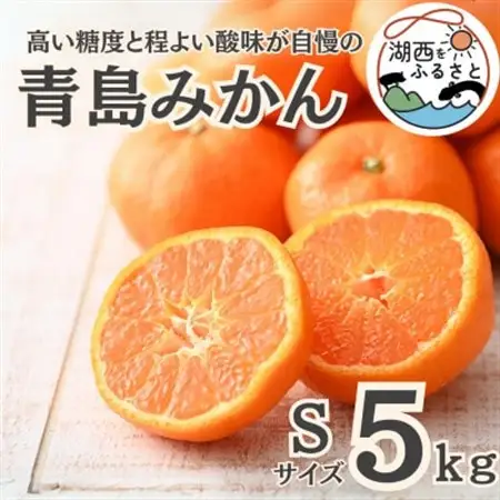 【先行受付】【2027年1月より順次出荷予定】青島みかん約5kg Sサイズ〔鈴木農園〕_果物・フルーツ みかん  ミカン 蜜柑_【1510103】