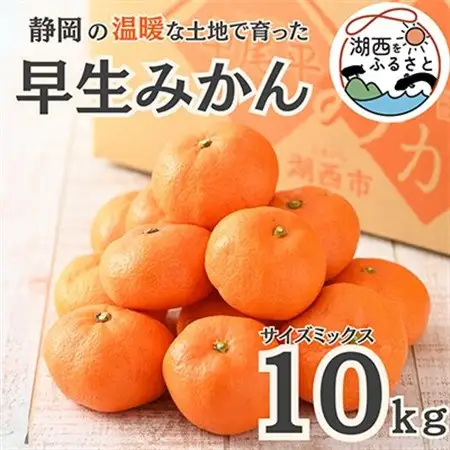 【先行受付】【11月上旬より順次出荷予定】早生みかん約10kg サイズミックス〔鈴木農園〕_果物・フルーツ みかん  ミカン 蜜柑_【1510106】