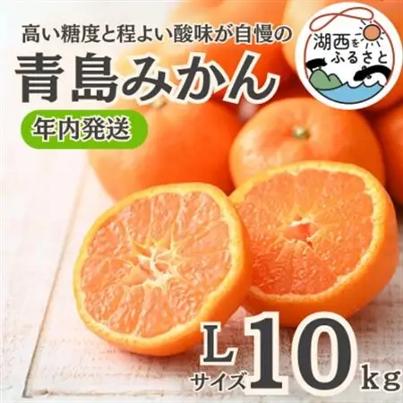 【年内発送】【12月中旬より順次出荷予定】青島みかん約10kg Lサイズ〔鈴木農園〕_果物・フルーツ みかん  ミカン 蜜柑_【1510114】