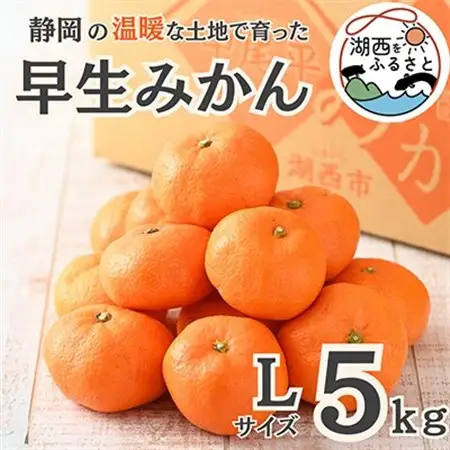【先行受付】【11月上旬より順次出荷予定】早生みかん約5kg Lサイズ〔鈴木農園〕_果物・フルーツ みかん  ミカン 蜜柑_【1510117】