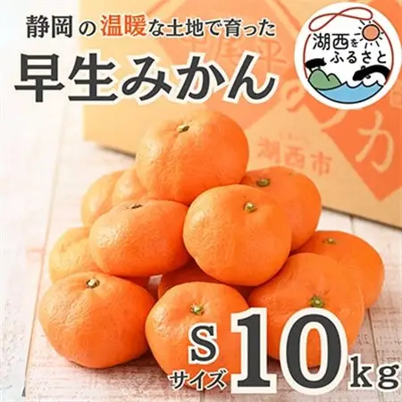 【先行受付】【11月上旬より順次出荷予定】早生みかん約10kg Sサイズ〔鈴木農園〕_果物・フルーツ みかん  ミカン 蜜柑_【1510125】