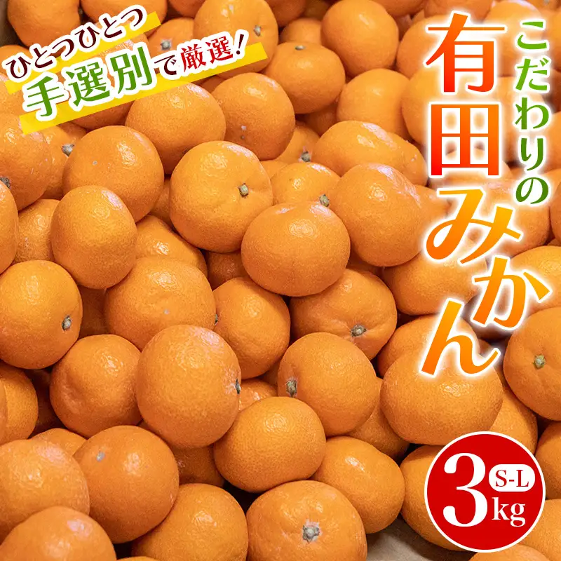 こだわりの和歌山県産 有田みかん 3kg（S～Lサイズおまかせ） ひとつひとつ手選別で厳選！生産者から直送 【2026年11月下旬～2027年1月中旬ごろに順次発送予定】 | みかん フルーツ 果物 くだもの 有田みかん 蜜柑 柑橘【hdm004A】