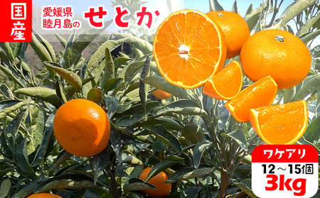 訳あり 家庭用 せとか 約3kg みかん【HYN0013】