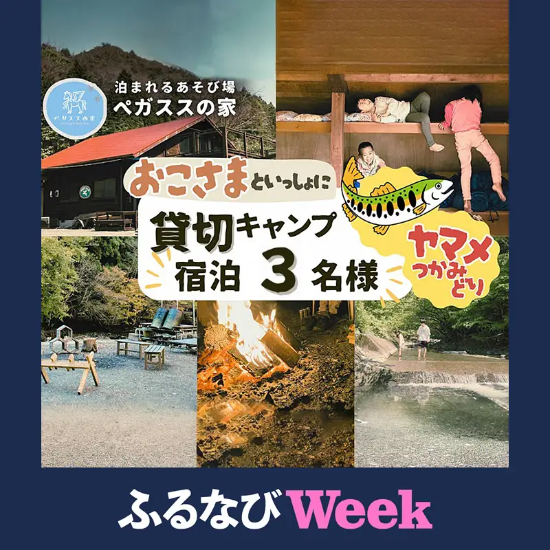 【ふるなびWEEK対象】貸切キャンプ！八丁やまめつかみ取り・ペガススの家【1泊2日・3名】宿泊券【 宿泊 宿泊券 体験 チケット 旅行 キャンプ アウトドア 神奈川県 山北町 】