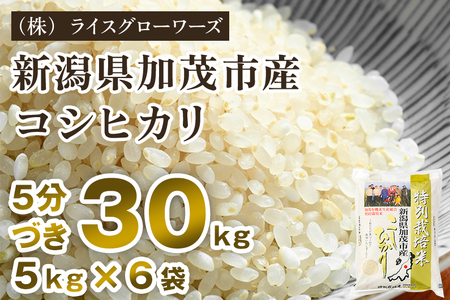 【令和8年産新米先行予約】【5分づき】 新潟県 加茂市産 特別栽培米コシヒカリ 精米30kg（5kg×6）《10月上旬～順次出荷》 （株）ライスグローワーズ