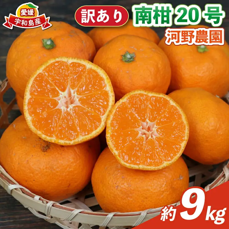 訳あり 南柑20号 9kg 河野農園 温州みかん みかん 人気のみかん 美味しいみかん 濃厚みかん 温州蜜柑 愛媛みかん 愛媛蜜柑 愛媛ミカン 蜜柑 mikan 温州 柑橘 果物 くだもの 訳アリ 訳あり品 訳有り わけあり フルーツ 産地直送 数量限定 先行予約 国産 愛媛 宇和島 B010-147004